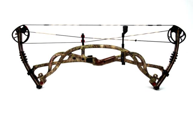Hoyt